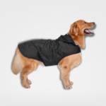 capa de chuva para cachorro impermeável