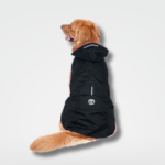 capa de chuva para cachorro impermeável