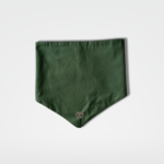 bandana de cachorro verde