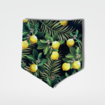 bandana de cachorro